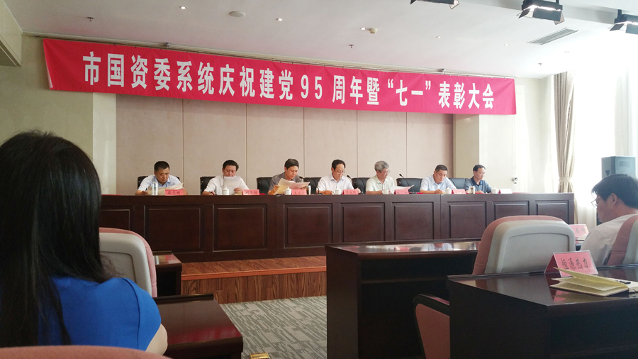 新华集团优秀党组织和党员受到表彰 第 1 张 新华集团优秀党组织和党员受到表彰 第 1 张